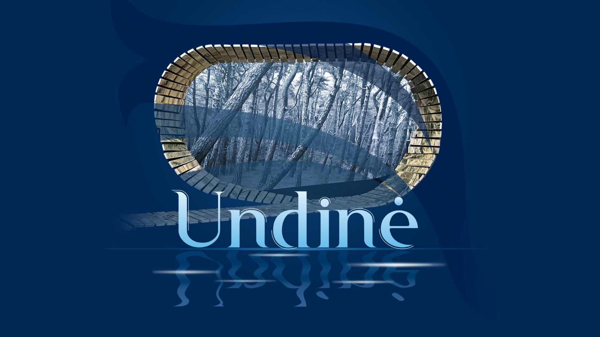 Pažintis su opera UNDINĖ card image